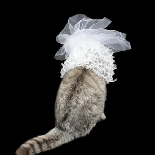 Vestido de dama para gatitos en encaje blanco con tiara miniatura de gala 5