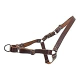 Taco Dog, Dog Harness Handmade from Full Grain Leather - Easy and Comfortable Walking, Adjustable, Safe for Your Pet, Prevents Escapes, Heavy Duty Metal, Handle - for Large Dog Breeds - Bourbon Brown