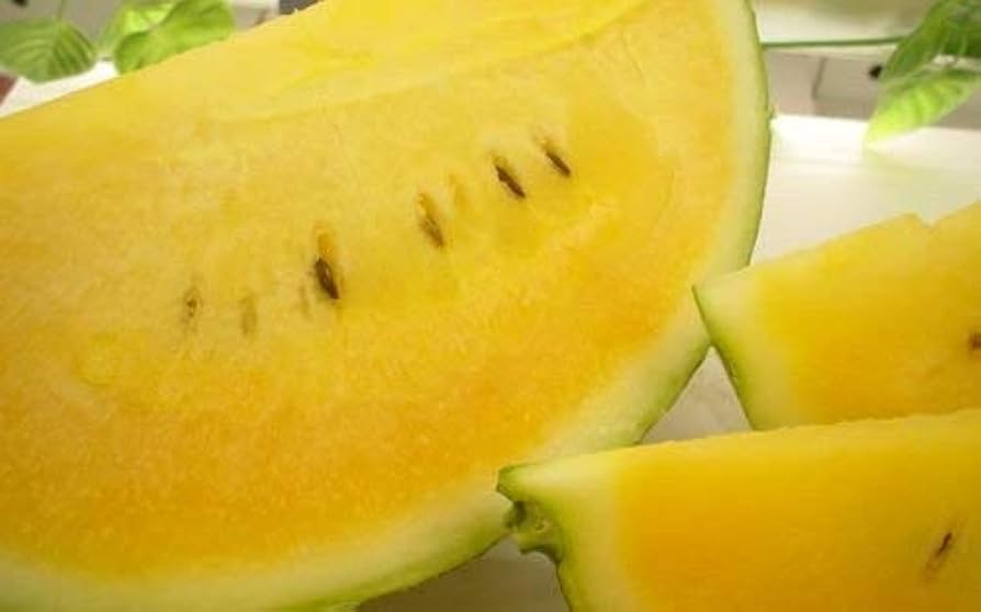 Amazon.co.jp: すいか おつきさま スイカ 北海道産 【 秀品