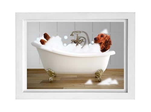 Deco murale cocker rouge dans le bain cadre blanc A4 pour mur de salle de bain
