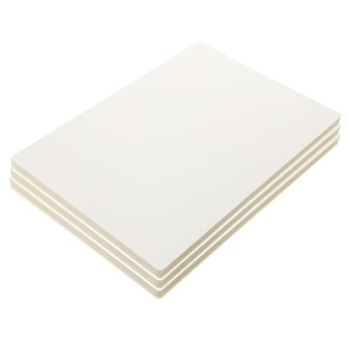 LAPYAPPE 100 ʐ^ph~l[gtB~ݓیϐV[\Ήʐ^J[hhph~܂h~ۑp