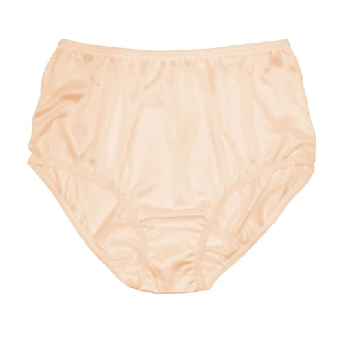 Image of Teri Women's 331 Plain Jane Classic Nylon Silky-Smooth Lightweight Breathable Full Coverage Brief Panty - 4 Pack
