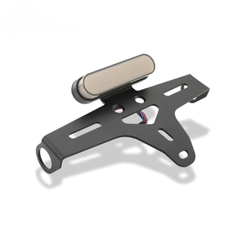 Support de Plaque d'immatriculation Moto pour Rebel 1100 Supprimer la Bavette Arrière CMX1100 DCT