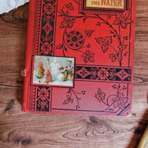 Amazon.co.jp: ゜+ 19世紀 洒落たフローラルイラスト付き表紙 赤 英国