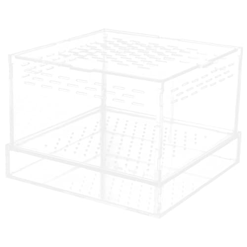 ORFOFE ঒ނ̉a ېH Gecko Terrarium Xl[NGN[W[ANZT[ aGN[W wr̈͂ gÖ͂ e AN Transparent