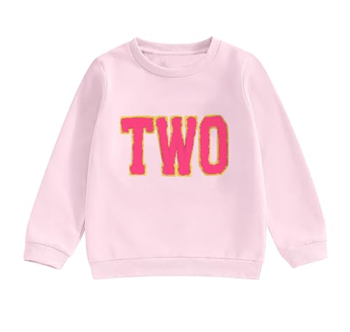Toddler Girl Birthday Outfit Baby Boys One/Two/Three/Four/Five Year Old Birthday Shirts Gift Embroidery Sweatshirt