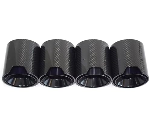 Tuyau d'échappement carbone pour BMW M2 M3 M4 embout luxueux en acier inoxydable