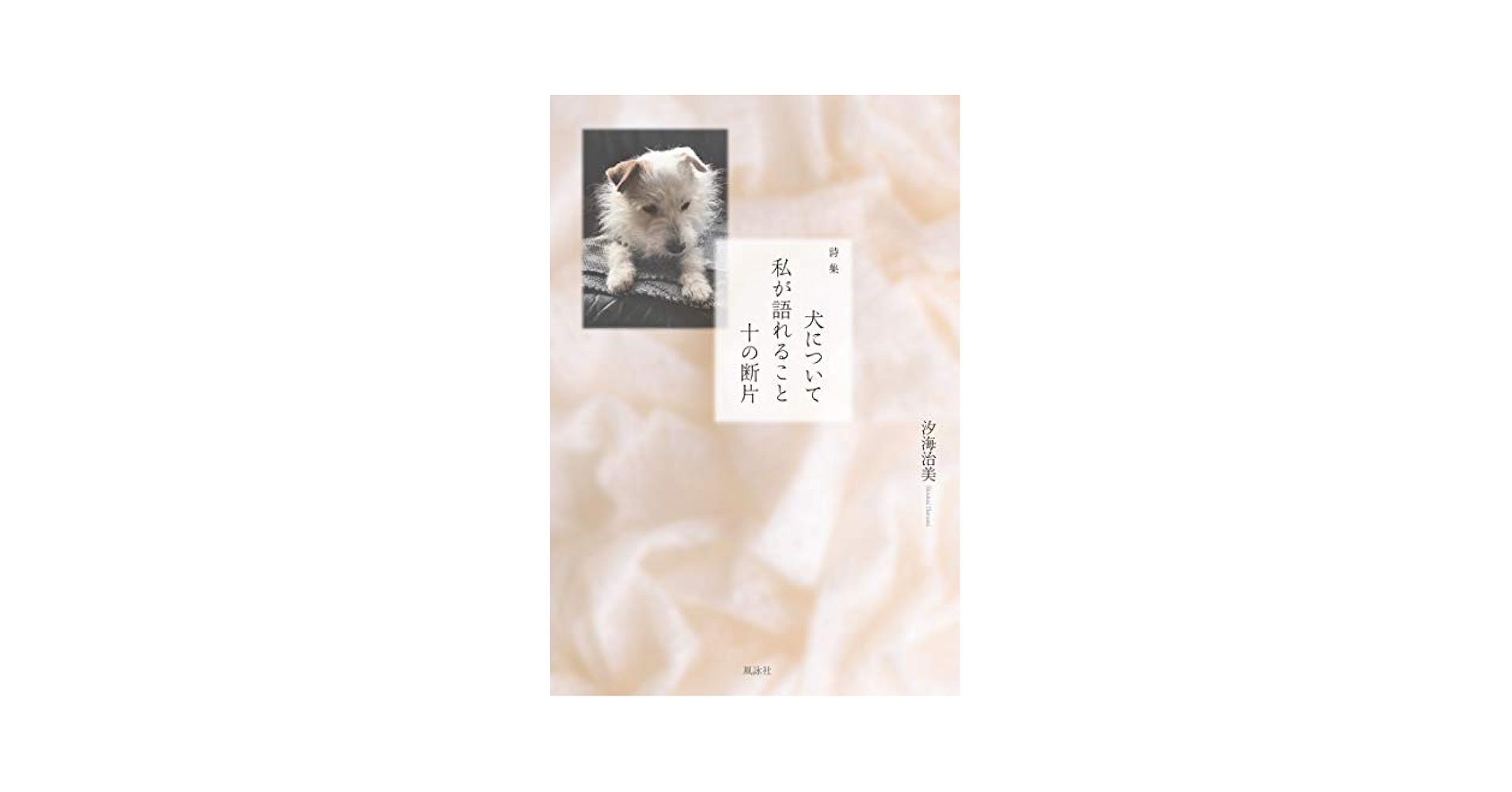 もっと犬に言いたいたくさんのこと : 君の「?」な行動に惑わされず、楽しむため… 71zK39CLdtL.jpg