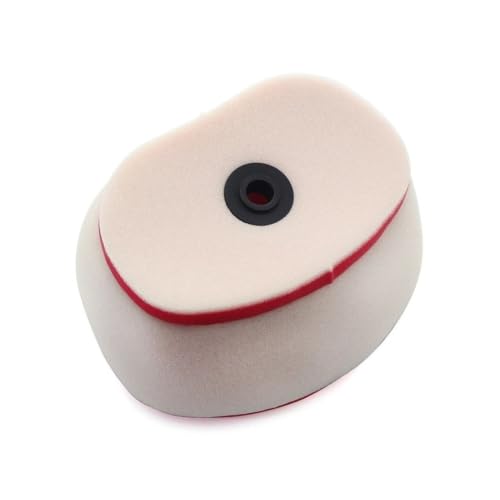 Filtre à air moto Bosuer BSE 2019 M5 M-5 250L compatible 250
