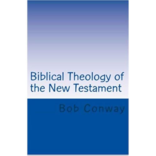 Biblical Theology of the New Testament Audiolibro Por Bob Conway arte de portada