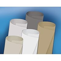 Algopix Similar Product 5 - Dicor Corp DFII85W40 TPO 8Ft6In X