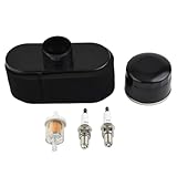 Contenu : 1 filtre à air, 1 filtre à huile, 1 filtre à carburant et 2 étincelles, fournissant tous les composants nécessaires pour un entretien complet de votre moteur.