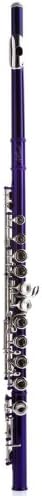 Hawk WD-F113-PL Closed Hole C Flute with Case, Purple