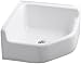 KOHLER K-6710-0 Whitby Service Sink, White