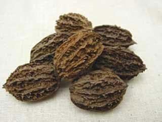 Butternut Tree, White Walnut, (Juglans cinerea) Seeds, Organic Non-GMO 5 Seeds.