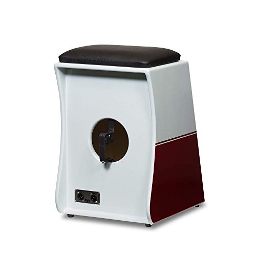 Cajon Fsa Limit. Ser. V-Dub Fls01 Vinho