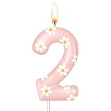 Conelist Daisy Number Birthday Candle Pink Flower Candle Daisy Flower Cake Topper for Girl Boho Themed Birthday Baby Shower Party Cake Decorations Supplies(Pink,Number 2)