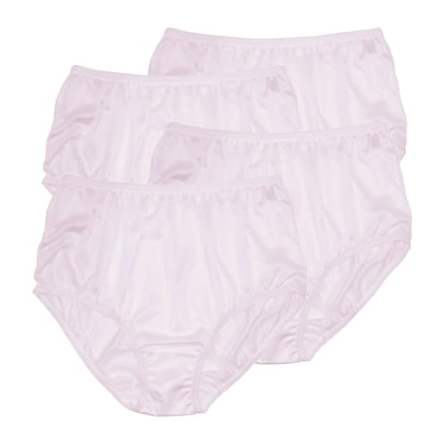 Image of Teri Women's 331 Plain Jane Classic Nylon Silky-Smooth Lightweight Breathable Full Coverage Brief Panty - 4 Pack