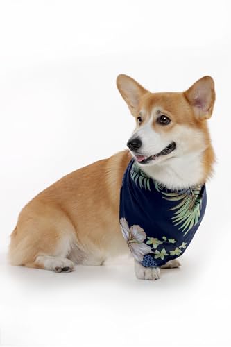 Image of Matchable Family Hawaiian Luau Men Women Girl Boy Clothes in Pineapple Garden Navy
