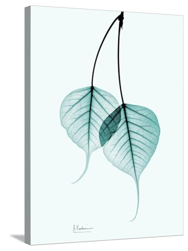 ART.COM Stretched Canvas Print Teal Bodhi Tree by Albert Koetsier, 24" x 32"