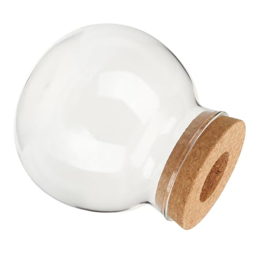 VALICLUD Vase Hydroponique en Verre Sphérique Petit Format Bouchon Jardinière Hydroponique de Bureau Transparente Récipient pour Propagation de Plantes D’Intérieur
