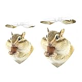 Lot de 2 bandanas pour chien, hamster, mangeant noix, fille, garçon, écharpe pour chien, accessoire pour chiens de petite, moyenne et grande taille, chiot, chat