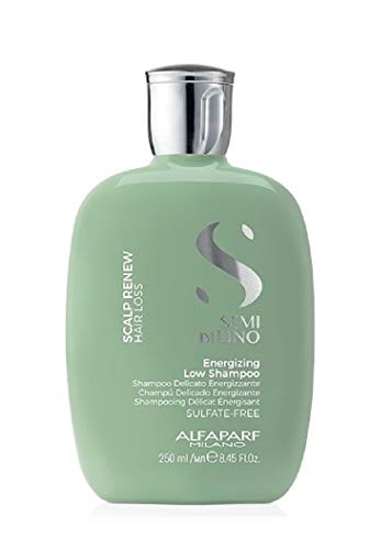 Preisvergleich Produktbild AlfaParf, A010026, sanftes und energiespendendes Shampoo, 250 ml