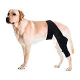 CheerBall Dog Knee Brace for Torn ACL Hind Leg，Comfortable and Adjustable Support Brace with Two Stabilizer，Dog Leg Braces for Back Leg with Extra Support，Arthritis Relief and Surgery Recovery (M)