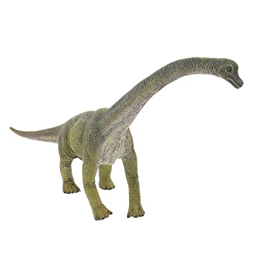 BESPORTBLE Modèle De Dinosaure Brachiosaure pour Enfants Décoratif Figurine De Dinosaure Ornementale pour Enfant Modèle De Ornemental pour Enfant Décoration De en