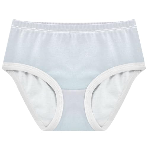 Joisal Ombre Pale Blue Gradient Cute Panties Girl Toddler Girls Underwear Cotton Cartoon Kids Undies Briefs 2t