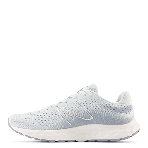 Image of New Balance Women's 520 V8 Shoes