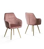 Pack 2 sillas FREYA: La silla de comedor FREYA es una exclusiva silla de línea envolvente con tejido de terciopelo. FREYA será la estrella de tu salón, sus colores actuales y sus patas doradas o negras cumpliendo con la moda más actual la hacen una apuesta segura.