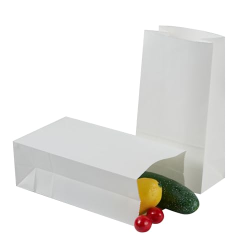 FOCCIUP 40 Count 4lb White Kraft Paper Lunch Bags Disposable Fold Top Bags