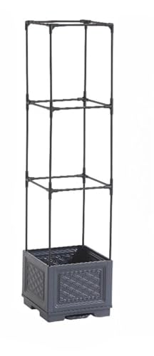 Fiyyuga �g�����X�X�^�C���̐A�ؔ��A�g�}�g�̐A�ؔ��A�u�h�E�̃v�����^�[�̐A�ؔ��Z�b�g�A���s�ɋ����A���͂����悭�ʋC��������A�����z���@�\�t���A�g�����X�t���̐A�ؔ��A�g�}�g�A�u�h�E�A�L���E���A��؁A�ʕ��A�ԂɓK���Ă���A�����Ɖ��O�̒뉀�ɓK���Ă��܂��B