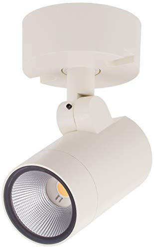 大光電機 DAIKO LEDアウトドアスポットライト LED内蔵 天井付 壁付 床付兼用 防雨形 電球色 電気工事必要 オフホワイト DOL-5206YW