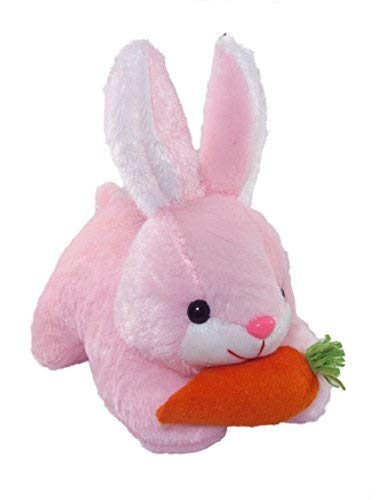 Buy Sneha Stuffs Soft and Plush Sitting Pink Color 25 cm Rabbit with ...