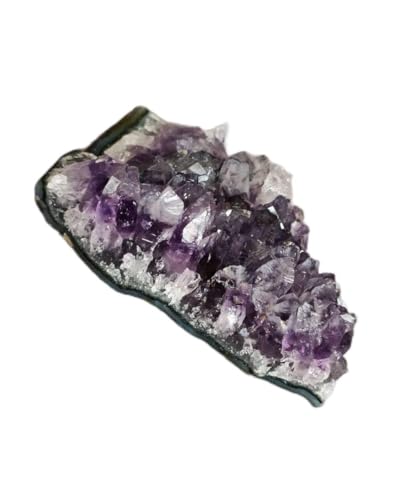 VR iAWXg p[Xg[ NX^[   p[v 