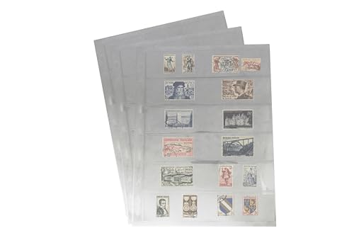 PCCB MINGT 10 fogli interni standard a 9 fori su un lato per album, francobolli, banconote, collezione, pagine interne per raccoglitori di monete e forniture (Trasparente, 6 Tasche)