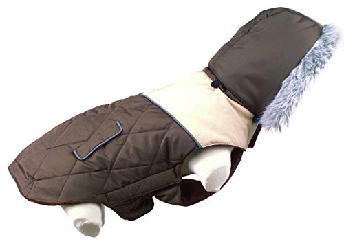 Doogy Daunenjacke zweifarbig mit Kapuze Größe 42 braun B Cover
