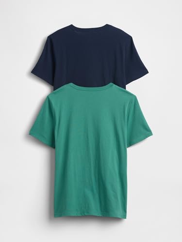 Image of GAP Boys' Short Sleeve Graphic Tee 2-Pack