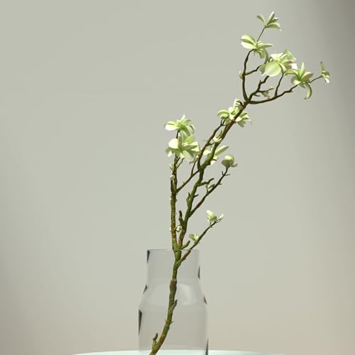 Trusting God in His Faithfulness