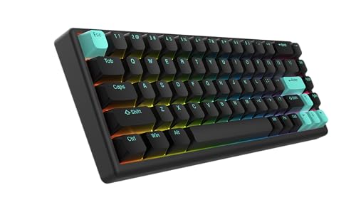 ARBITER Polar 65