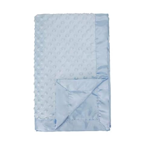 Pro Goleem Baby Soft Minky Dot Blanket with Silky Satin Backing Baby Gifts for Girls and Boys (Blue, 30’’ x 40’’) Cover