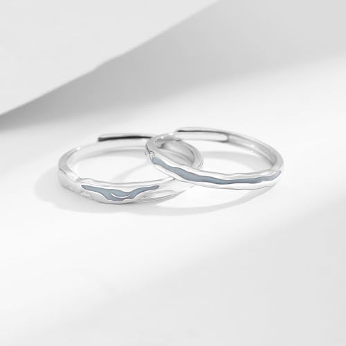 Bague pour homme en argent rivière de lumières parfait accessoire du quotidien
