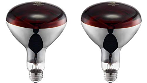 Free Shipping Offer Producer's Pride R40 Incandescent 120V 250W Red Heat Lamp Bulbs, Brooder Lamp for Chicks 2-Pack
