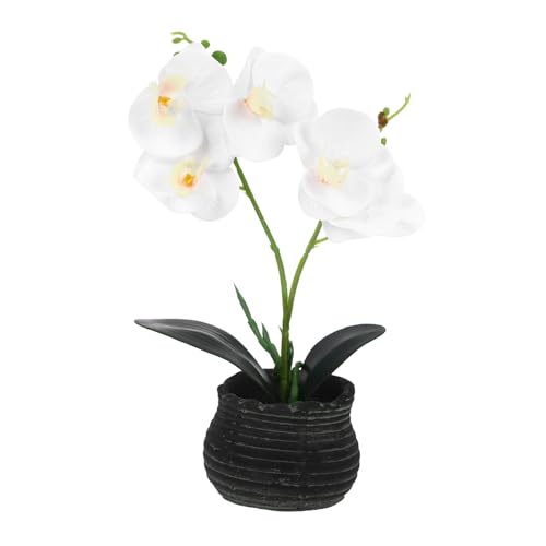 Happyyami Planta Artificial Bonsai De Maceta Falsa Decoración Para Adorno De Plantas Artificiales Bonsai Falso Estilo y Moderno