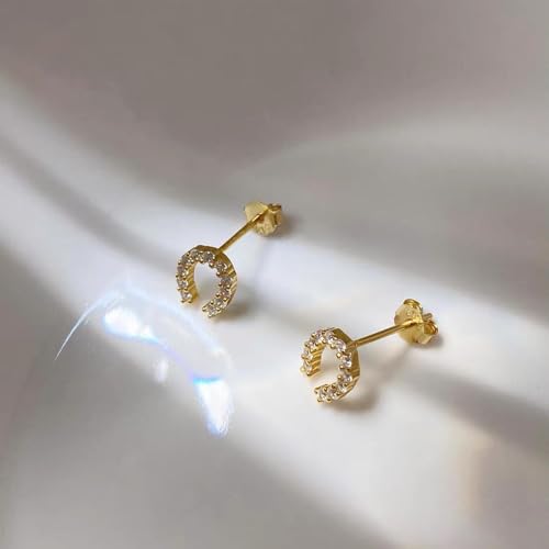Lucky Horseshoe S925 Sterling Silver Small Stud Earrings for Women Cubic Zirconia Dainty Elegant Good Luck U Shape Hypoallergenic Tiny Mini Cartilage Earring CZ Cute Fashion Jewelry Animal Horse Lover Gifts2