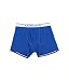 Icebreaker Men's Anatomica Boxers with Fly