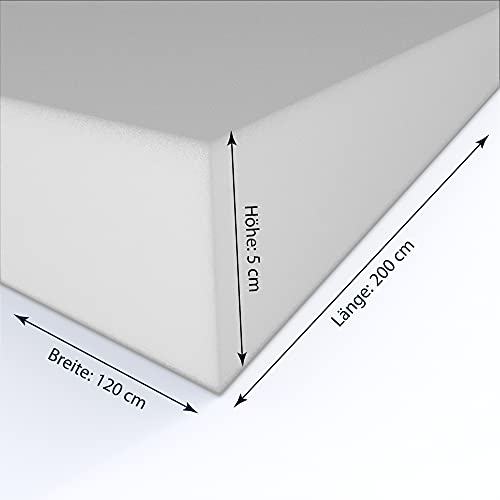 MSS e.K. Schaumstoffplatte Polster Auflage Topper - 200 x 120 x 5 cm - RG27/45