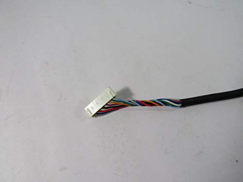 Skatewheel Conveyor, 10ft L, 18in. W